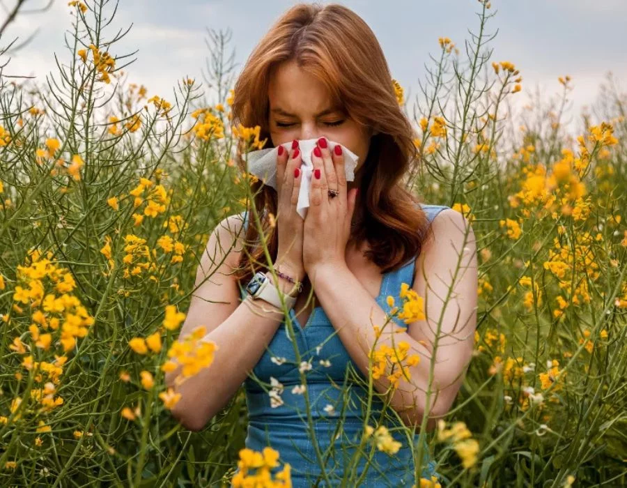 Hörgeräte & Pollenflug