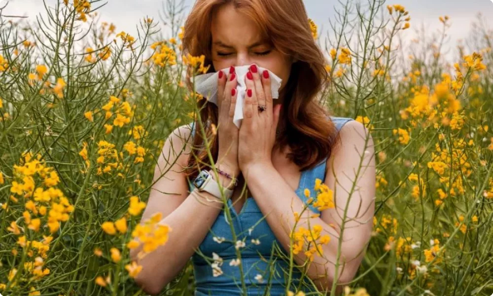 Pollenflug & Hörgeräte, Frau schneuzt ihre Nase wegen Pollenallergie
